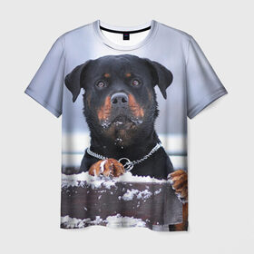 Мужская футболка 3D с принтом Ротвейлер в Екатеринбурге, 100% полиэфир | прямой крой, круглый вырез горловины, длина до линии бедер | животное | порода | ротвейлер | собака
