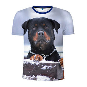 Мужская футболка 3D спортивная с принтом Ротвейлер в Екатеринбурге, 100% полиэстер с улучшенными характеристиками | приталенный силуэт, круглая горловина, широкие плечи, сужается к линии бедра | Тематика изображения на принте: животное | порода | ротвейлер | собака