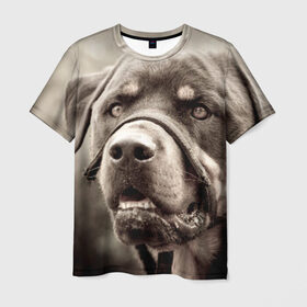 Мужская футболка 3D с принтом Ротвейлер в Екатеринбурге, 100% полиэфир | прямой крой, круглый вырез горловины, длина до линии бедер | животное | порода | ротвейлер | собака