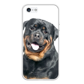 Чехол для iPhone 5/5S матовый с принтом Ротвейлер в Екатеринбурге, Силикон | Область печати: задняя сторона чехла, без боковых панелей | животное | порода | ротвейлер | собака