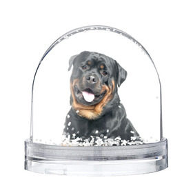 Снежный шар с принтом Ротвейлер в Екатеринбурге, Пластик | Изображение внутри шара печатается на глянцевой фотобумаге с двух сторон | животное | порода | ротвейлер | собака