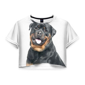 Женская футболка 3D укороченная с принтом Ротвейлер в Екатеринбурге, 100% полиэстер | круглая горловина, длина футболки до линии талии, рукава с отворотами | животное | порода | ротвейлер | собака