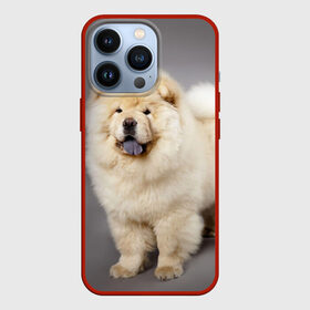 Чехол для iPhone 13 Pro с принтом Чау чау в Екатеринбурге,  |  | Тематика изображения на принте: животное | порода | собака | чау чау