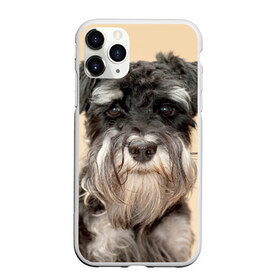 Чехол для iPhone 11 Pro матовый с принтом Цвергшнауцер в Екатеринбурге, Силикон |  | Тематика изображения на принте: животное | порода | собака | цвергшнауцер