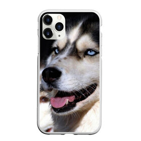 Чехол для iPhone 11 Pro матовый с принтом Хаски в Екатеринбурге, Силикон |  | животное | порода | собака | хаски