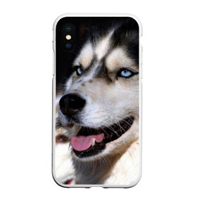 Чехол для iPhone XS Max матовый с принтом Хаски в Екатеринбурге, Силикон | Область печати: задняя сторона чехла, без боковых панелей | животное | порода | собака | хаски