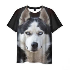 Мужская футболка 3D с принтом Хаски в Екатеринбурге, 100% полиэфир | прямой крой, круглый вырез горловины, длина до линии бедер | бандит | животное | порода | собака | хаски | хаски бандит