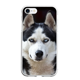 Чехол для iPhone 7/8 матовый с принтом Хаски в Екатеринбурге, Силикон | Область печати: задняя сторона чехла, без боковых панелей | бандит | животное | порода | собака | хаски | хаски бандит
