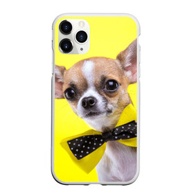 Чехол для iPhone 11 Pro матовый с принтом Чихуахуа в Екатеринбурге, Силикон |  | животное | порода | собака | чихуахуа