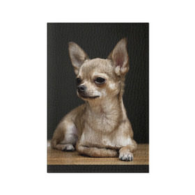 Обложка для паспорта матовая кожа с принтом Чихуахуа в Екатеринбурге, натуральная матовая кожа | размер 19,3 х 13,7 см; прозрачные пластиковые крепления | животное | порода | собака | чихуахуа