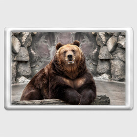 Магнит 45*70 с принтом Русский медведь в Екатеринбурге, Пластик | Размер: 78*52 мм; Размер печати: 70*45 | медведь | россия | русский | русский медведь