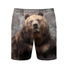 Мужские шорты 3D спортивные с принтом Русский медведь в Екатеринбурге,  |  | медведь | россия | русский | русский медведь