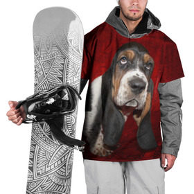 Накидка на куртку 3D с принтом Бассет-хаунд в Екатеринбурге, 100% полиэстер |  | бархат | бассет хаунд | взгляд | домашнее | животное | порода | собака | уши