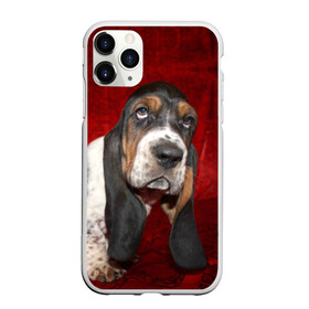 Чехол для iPhone 11 Pro матовый с принтом Бассет-хаунд в Екатеринбурге, Силикон |  | Тематика изображения на принте: бархат | бассет хаунд | взгляд | домашнее | животное | порода | собака | уши