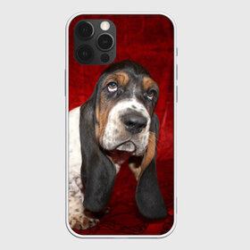 Чехол для iPhone 12 Pro Max с принтом Бассет-хаунд в Екатеринбурге, Силикон |  | Тематика изображения на принте: бархат | бассет хаунд | взгляд | домашнее | животное | порода | собака | уши