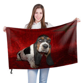 Флаг 3D с принтом Бассет-хаунд в Екатеринбурге, 100% полиэстер | плотность ткани — 95 г/м2, размер — 67 х 109 см. Принт наносится с одной стороны | Тематика изображения на принте: бархат | бассет хаунд | взгляд | домашнее | животное | порода | собака | уши