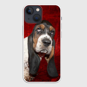 Чехол для iPhone 13 mini с принтом Бассет хаунд в Екатеринбурге,  |  | Тематика изображения на принте: бархат | бассет хаунд | взгляд | домашнее | животное | порода | собака | уши