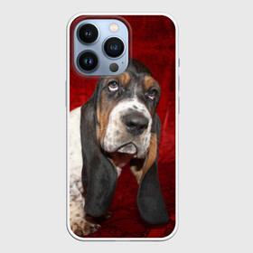 Чехол для iPhone 13 Pro с принтом Бассет хаунд в Екатеринбурге,  |  | бархат | бассет хаунд | взгляд | домашнее | животное | порода | собака | уши