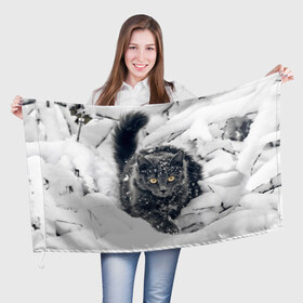 Флаг 3D с принтом Кот в снегу в Екатеринбурге, 100% полиэстер | плотность ткани — 95 г/м2, размер — 67 х 109 см. Принт наносится с одной стороны | ветки | дикий | домашнее | животное | зима | кот | котэ | кошка | снег | сугробы