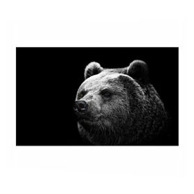 Бумага для упаковки 3D с принтом Медведь в Екатеринбурге, пластик и полированная сталь | круглая форма, металлическое крепление в виде кольца | Тематика изображения на принте: бурый | дикий | животное | медведь | россия | символ | тайги | фото | хищник | хозяин | черно белое