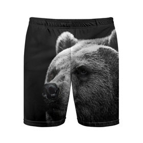 Мужские шорты 3D спортивные с принтом Медведь в Екатеринбурге,  |  | бурый | дикий | животное | медведь | россия | символ | тайги | фото | хищник | хозяин | черно белое