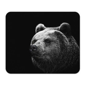 Коврик прямоугольный с принтом Медведь в Екатеринбурге, натуральный каучук | размер 230 х 185 мм; запечатка лицевой стороны | бурый | дикий | животное | медведь | россия | символ | тайги | фото | хищник | хозяин | черно белое