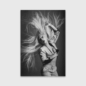 Обложка для паспорта матовая кожа с принтом Lady Gaga в Екатеринбурге, натуральная матовая кожа | размер 19,3 х 13,7 см; прозрачные пластиковые крепления | Тематика изображения на принте: lady gaga | блондинка | звезда | знаменитость | леди гаага | певица | поп | эпатаж | эпатажная