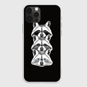 Чехол для iPhone 12 Pro с принтом Еноты в Екатеринбурге, силикон | область печати: задняя сторона чехла, без боковых панелей | енот