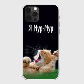 Чехол для iPhone 12 Pro Max с принтом Мур мур в Екатеринбурге, Силикон |  | киса | кот | котики | кошка | мур | мурмур | прикольные | смешной котик | ямурмур