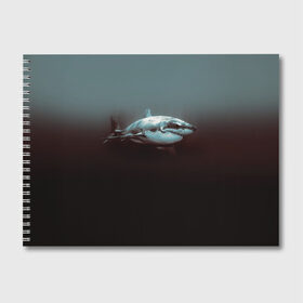 Альбом для рисования с принтом Акула в Екатеринбурге, 100% бумага
 | матовая бумага, плотность 200 мг. | акула | море | хищник