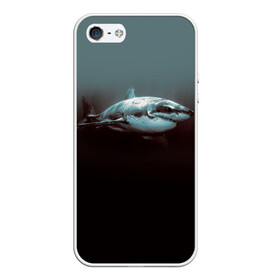 Чехол для iPhone 5/5S матовый с принтом Акула в Екатеринбурге, Силикон | Область печати: задняя сторона чехла, без боковых панелей | акула | море | хищник