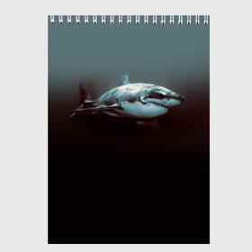 Скетчбук с принтом Акула в Екатеринбурге, 100% бумага
 | 48 листов, плотность листов — 100 г/м2, плотность картонной обложки — 250 г/м2. Листы скреплены сверху удобной пружинной спиралью | акула | море | хищник