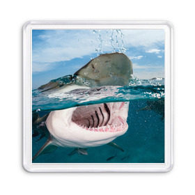 Магнит 55*55 с принтом Хищная акула в Екатеринбурге, Пластик | Размер: 65*65 мм; Размер печати: 55*55 мм | акула | море | океан | природа | хищник