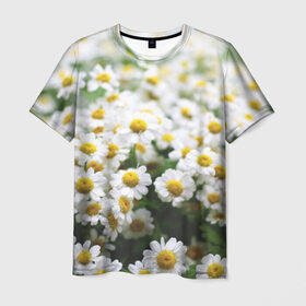 Мужская футболка 3D с принтом Полевые ромашки в Екатеринбурге, 100% полиэфир | прямой крой, круглый вырез горловины, длина до линии бедер | Тематика изображения на принте: природа | ромашка | цветок | цветы