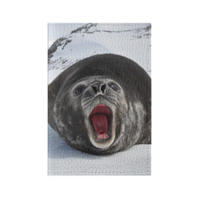 Обложка для паспорта матовая кожа с принтом Морской тюлень в Екатеринбурге, натуральная матовая кожа | размер 19,3 х 13,7 см; прозрачные пластиковые крепления | Тематика изображения на принте: животное | зима | море | океан | снег | тюлень