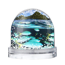 Водяной шар с принтом Подводный мир в Екатеринбурге, Пластик | Изображение внутри шара печатается на глянцевой фотобумаге с двух сторон | вода | море | океан | природа | рыба | рыбы