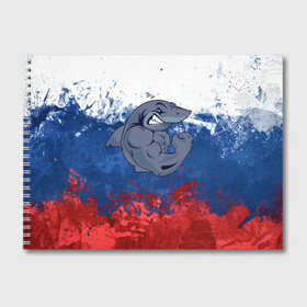 Альбом для рисования с принтом Акула в Екатеринбурге, 100% бумага
 | матовая бумага, плотность 200 мг. | плавание | россия | русский | спорт