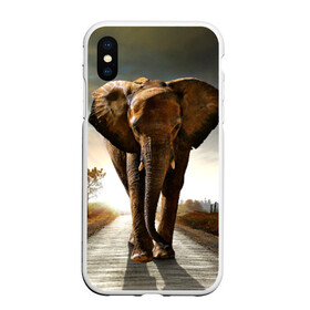 Чехол для iPhone XS Max матовый с принтом Дикий слон в Екатеринбурге, Силикон | Область печати: задняя сторона чехла, без боковых панелей | слон