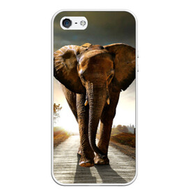 Чехол для iPhone 5/5S матовый с принтом Дикий слон в Екатеринбурге, Силикон | Область печати: задняя сторона чехла, без боковых панелей | слон