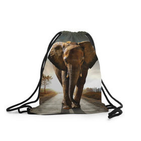 Рюкзак-мешок 3D с принтом Дикий слон в Екатеринбурге, 100% полиэстер | плотность ткани — 200 г/м2, размер — 35 х 45 см; лямки — толстые шнурки, застежка на шнуровке, без карманов и подкладки | слон