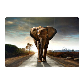 Магнитный плакат 3Х2 с принтом Дикий слон в Екатеринбурге, Полимерный материал с магнитным слоем | 6 деталей размером 9*9 см | слон
