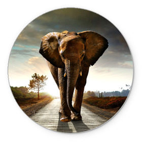 Коврик круглый с принтом Дикий слон в Екатеринбурге, резина и полиэстер | круглая форма, изображение наносится на всю лицевую часть | слон