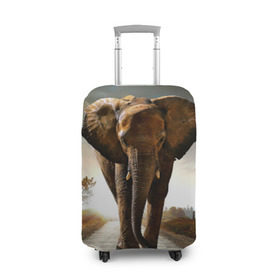 Чехол для чемодана 3D с принтом Дикий слон в Екатеринбурге, 86% полиэфир, 14% спандекс | двустороннее нанесение принта, прорези для ручек и колес | слон