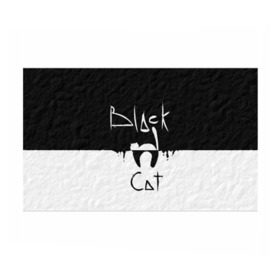 Бумага для упаковки 3D с принтом Black cat в Екатеринбурге, пластик и полированная сталь | круглая форма, металлическое крепление в виде кольца | Тематика изображения на принте: черный кот