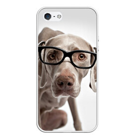 Чехол силиконовый для Телефон Apple iPhone 5/5S с принтом Собака в очках в Екатеринбурге, Силикон | Область печати: задняя сторона чехла, без боковых панелей | Тематика изображения на принте: в очках | дог | животное | очки | прикол | пятнистый | собака | щенок