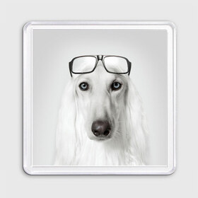 Магнит 55*55 с принтом Собака в очках в Екатеринбурге, Пластик | Размер: 65*65 мм; Размер печати: 55*55 мм | афганская | белая | борзая | в очках | животное | очки | прикол | собака