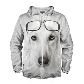 Мужская ветровка 3D с принтом Собака в очках в Екатеринбурге, 100% полиэстер | подол и капюшон оформлены резинкой с фиксаторами, два кармана без застежек по бокам, один потайной карман на груди | Тематика изображения на принте: афганская | белая | борзая | в очках | животное | очки | прикол | собака