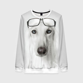 Женский свитшот 3D с принтом Собака в очках в Екатеринбурге, 100% полиэстер с мягким внутренним слоем | круглый вырез горловины, мягкая резинка на манжетах и поясе, свободная посадка по фигуре | афганская | белая | борзая | в очках | животное | очки | прикол | собака