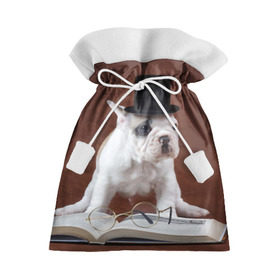 Подарочный 3D мешок с принтом Бульдог в цилиндре в Екатеринбурге, 100% полиэстер | Размер: 29*39 см | Тематика изображения на принте: бульдог в цилиндре | домашнее | животное | книга французский | очки | пес | прикол | собака | умный | ученый