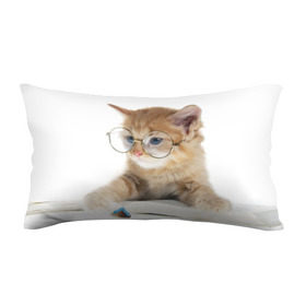 Подушка 3D антистресс с принтом Кот в очках в Екатеринбурге, наволочка — 100% полиэстер, наполнитель — вспененный полистирол | состоит из подушки и наволочки на молнии | домашнее | животное | книга | кот | кот в очках | котэ | очки | прикол | умный | ученый | читает